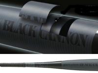 bct32003-b1.jpg